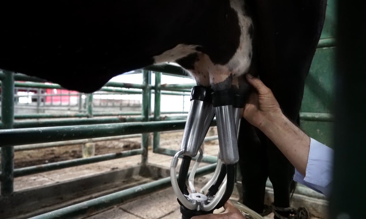 Importaciones de leche en polvo disparan alerta de Fedegán: el gremio pide proteger a los productores colombianos