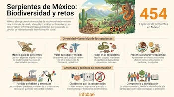 Infografía sobre serpientes en México: título, número '454 especies', ilustraciones de serpientes, iconos de ecosistema y conservación, texto y logo de Infobae.
