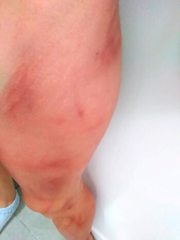 De acuerdo con el auto de detención al que accedió Infobae tras la denuncia de la víctima, Aquino en el momento en que llegaron los efectivos escondía un arsenal en su hogar de Berisso. Tenía decenas de municiones de todo tipo de marcas y calibres ocultas en bolsos. También poseía armas