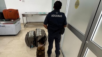 Confiscan en Oaxaca más de 365 mil dólares en efectivo a un pasajero proveniente de EEUU