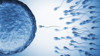 Un estudio halla 42 compuestos