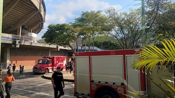 Incidente con abejas en el Coliseo del Pueblo en Cali obligó a evacuar a 150 personas