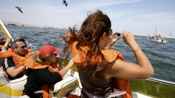 Personas en un barco con chalecos salvavidas. Una mujer toma una foto con cámara digital. Otras embarcaciones, aves y costa arenosa visibles