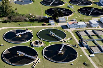 Los biosólidos surgen del tratamiento