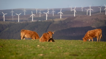 La brecha invisible de la