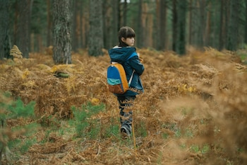 La trama de Cortafuego involucra