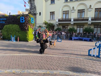 Exhibiciones gratuitas de la Brigada