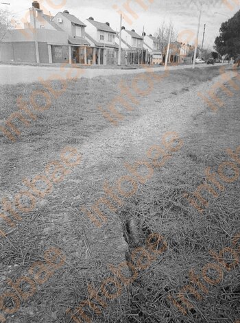 Caminaba por una bicisenda, cayó en un pozo tapado por el pasto y la Justicia condenó al municipio