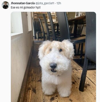 Santi Giordana con un golazo