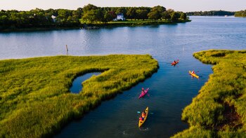 Cómo buscar ofertas y las