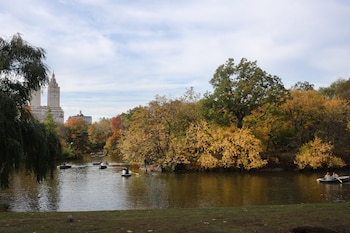 Lago de Central Park: se