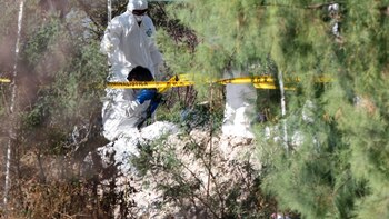 Comisión Nacional de Búsqueda informó