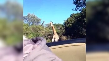 Incidente ocurrió en una reserva