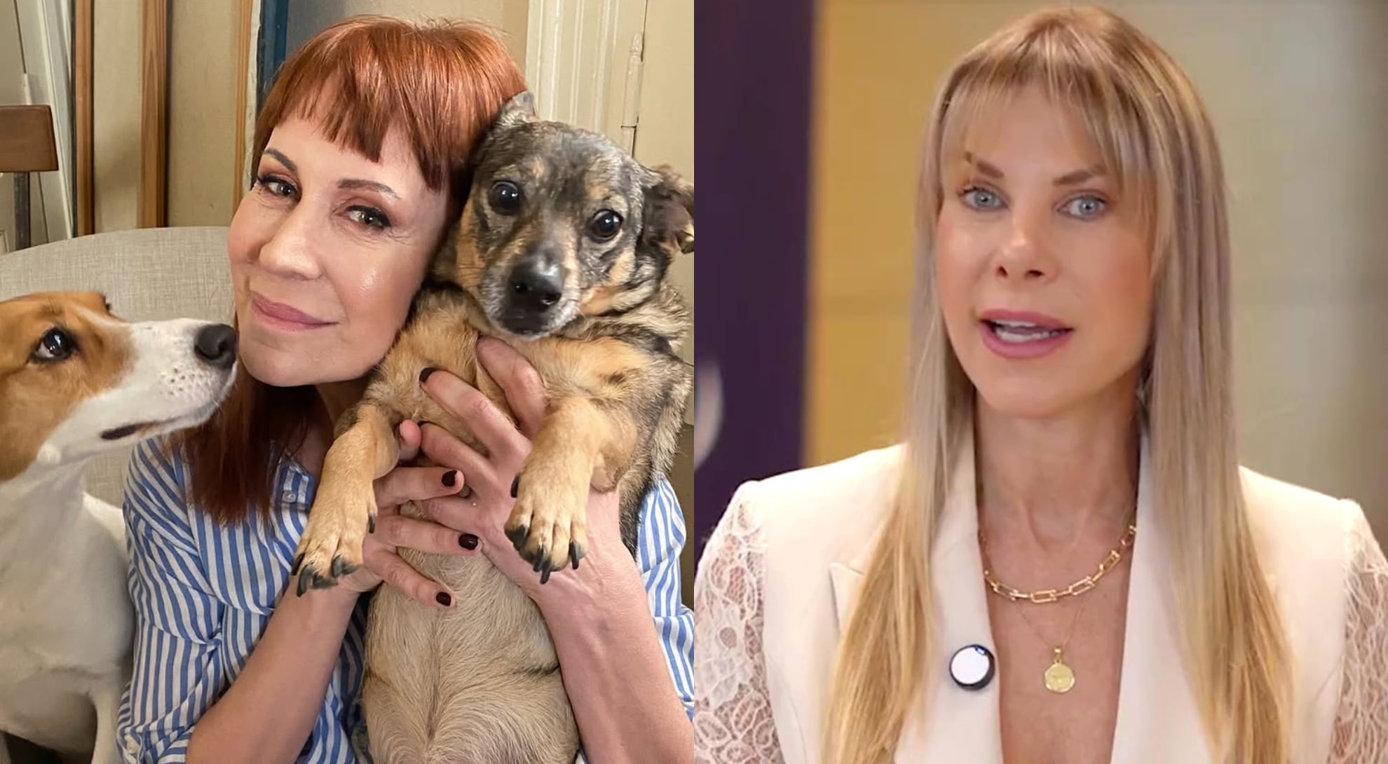 Matilda Blanco se pronuncia tras enfrentamiento con Karen Reichardt sobre criaderos de perros