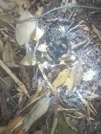 Las autoridades encontraron rastros de cabello en el lugar de los hechos - crédito Bomberos de Cundinamarca / Suministrado a Infobae Colombia