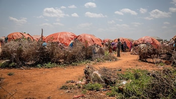 World Vision pide "medidas inmediatas" ante la "alarmante" cifra de niños en riesgo de desnutrición en Somalia