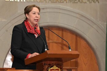 La diputada local del PRI,