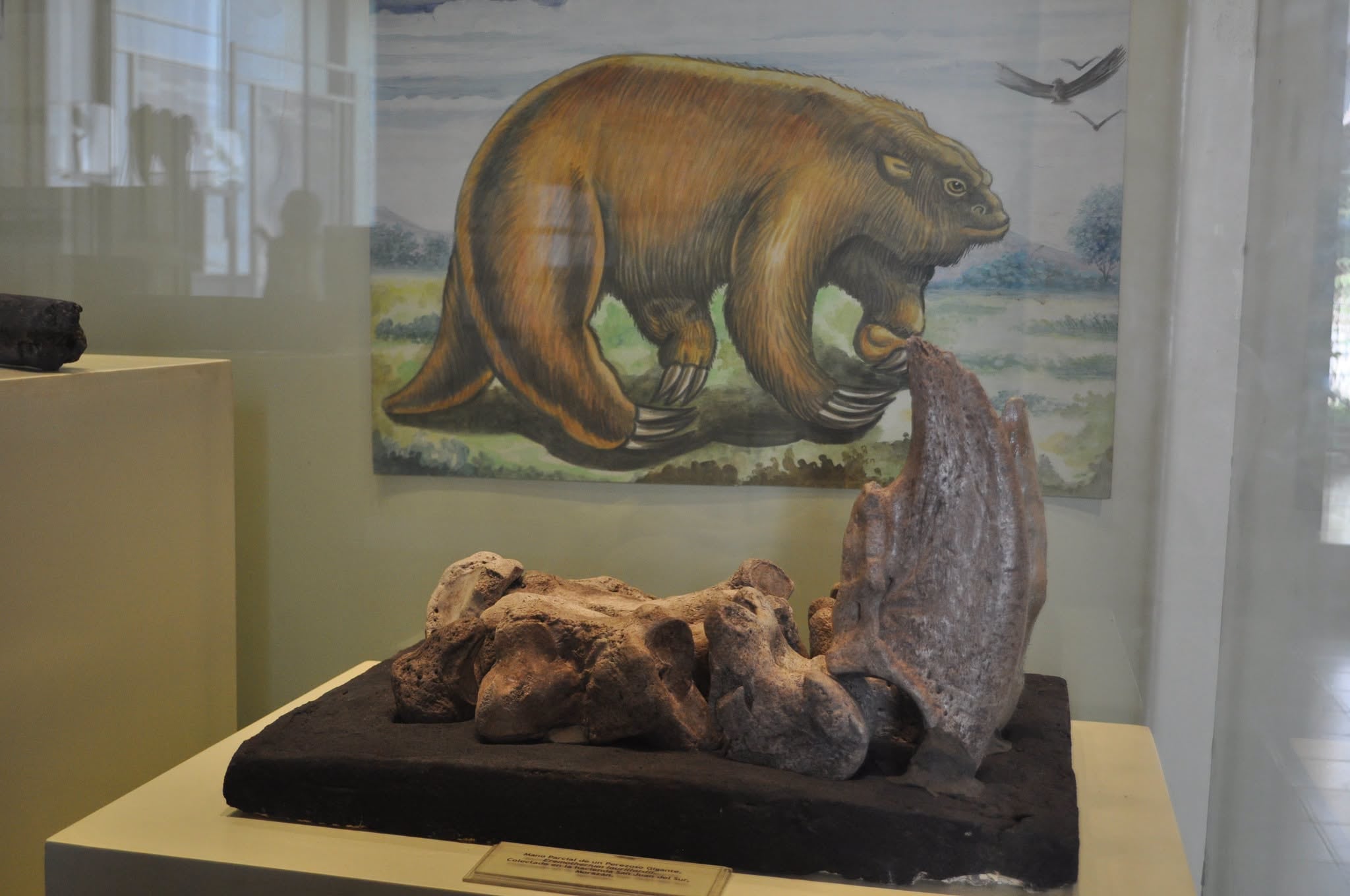 Fósiles de mastodontes, perezosos gigantes y otros animales de la megafauna fueron encontrados en El Salvador hace 25 años