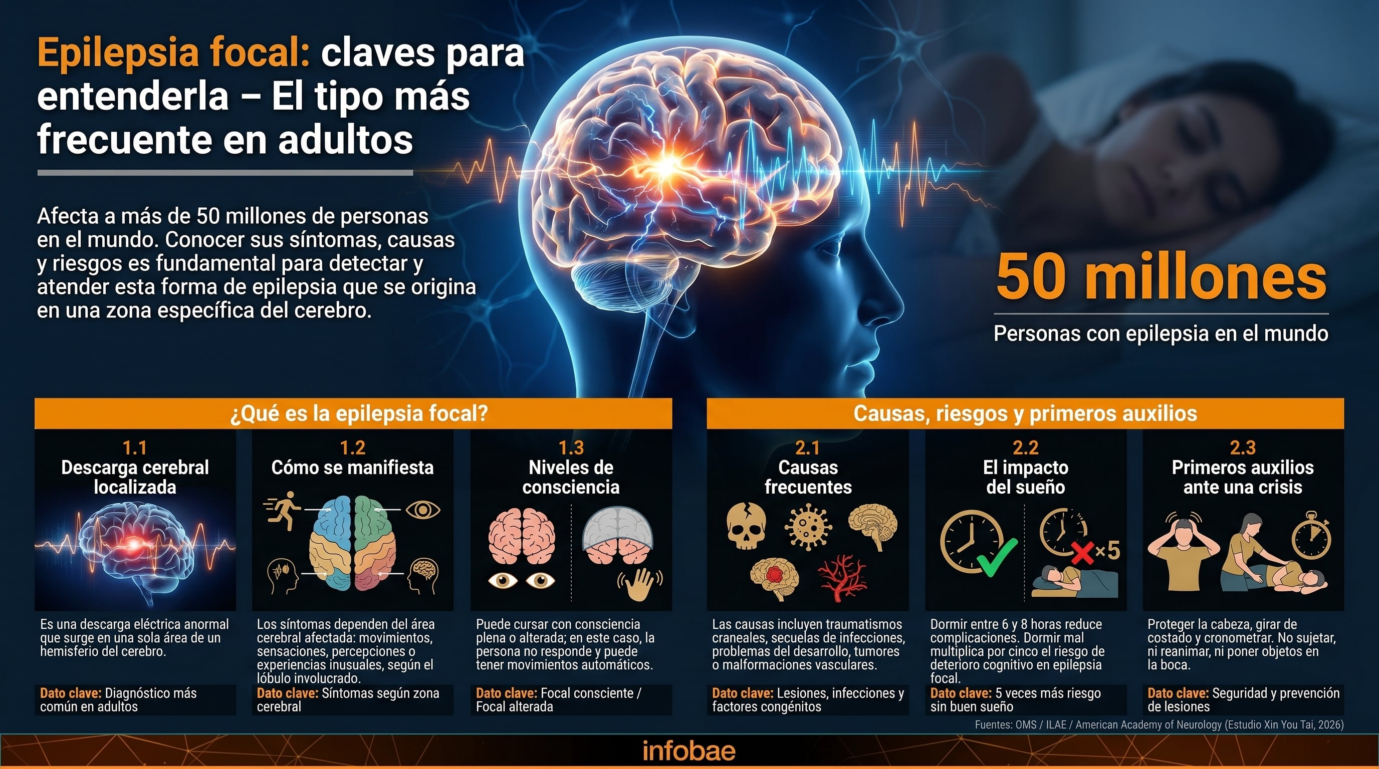 Una infografía detalla la epilepsia focal, el tipo más común en adultos, abordando sus causas, síntomas según el lóbulo cerebral afectado, niveles de conciencia, el impacto del sueño y pautas de primeros auxilios ante una crisis. (Imagen Ilustrativa Infobae)