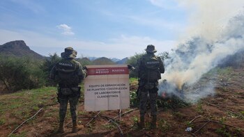 El plantío fui ubicado en