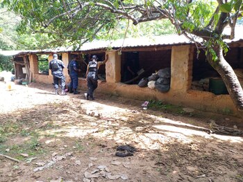 Masacre en Guerrero: sicarios ejecutaron