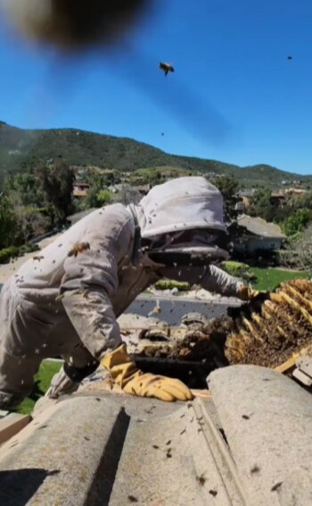 Ahora cuentan con más de