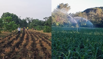 El Ministerio de Agricultura y Ganadería de El Salvador impulsa la siembra de más de 52.000 manzanas de granos básicos con tecnología satelital y mecanizada. (Cortesía: Viceministro Óscar Domínguez)