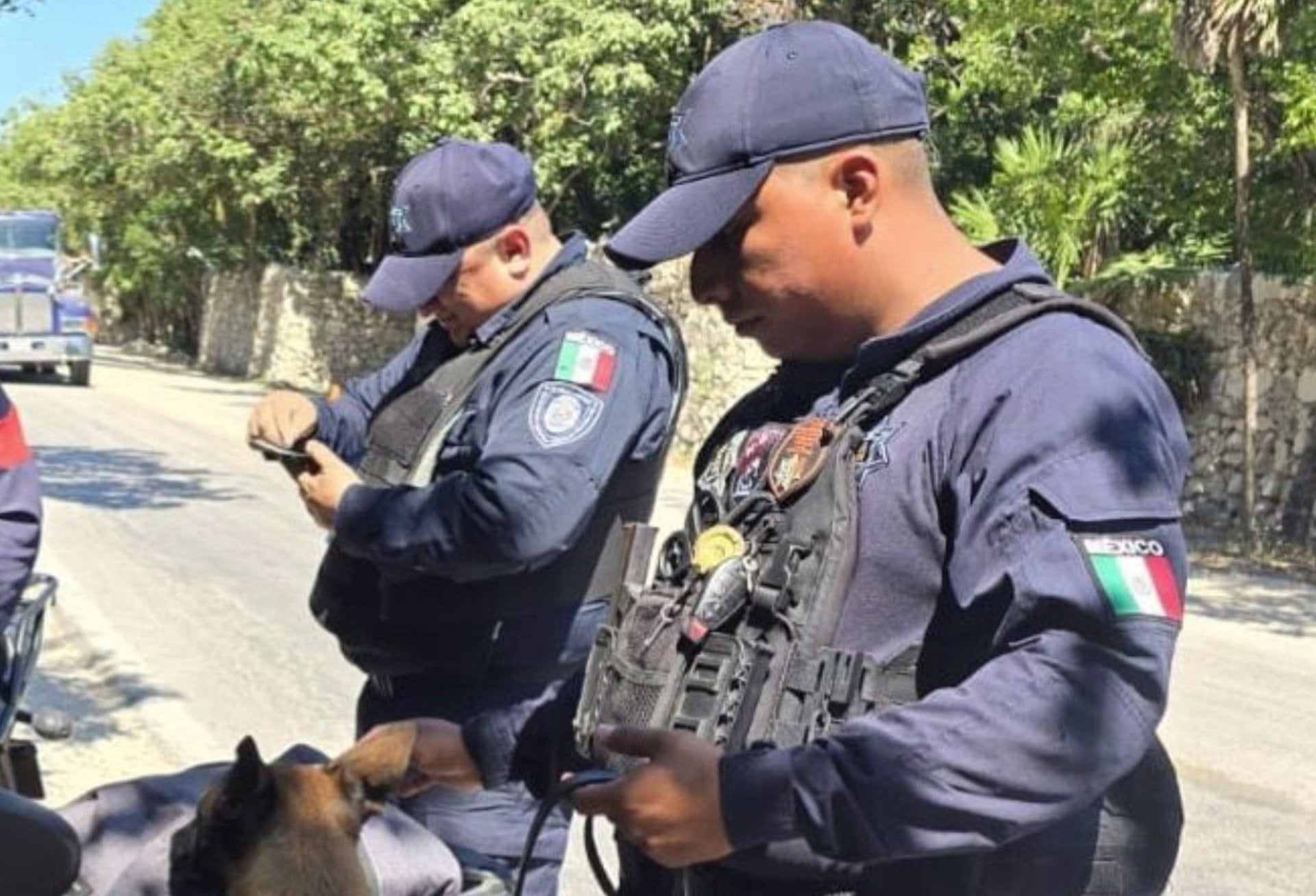 Los policías municipales representan el grupo con más víctimas, con 85 asesinatos registrados por Causa en Común hasta el 10 de septiembre. (Crédito: Secretaría de Seguridad Quintana Roo)