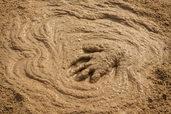 En 2014, una mujer de