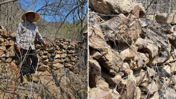 Un hombre con sombrero de paja y camisa a cuadros de pie junto a un muro de piedra seca; a la derecha, un primer plano del muro de piedra con ramas secas