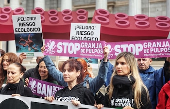 Imagen de archivo de una concentración de 2023 contra la granja de pulpos de Gran Canaria frente al Congreso de los Diputados. (Ricardo Rubio/Europa Press)