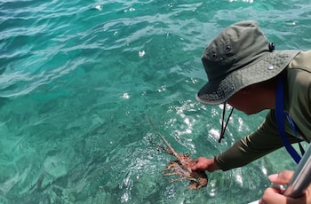 El equipo de vigilancia y patrullaje también retuvo un ancla metálica artesanal y dos lazos utilizados para la captura de langostas. (MiAmbiente)