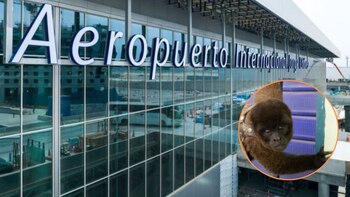 El control también se realizará