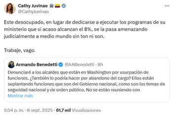 La representante arremetió en contra del ministro del Interior - crédito @CathyJuvinao/x