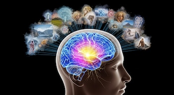 Vista lateral de una cabeza humana translúcida con un cerebro sagital iluminado, mostrando la red por defecto activa y escenas imaginadas que emanan de él.