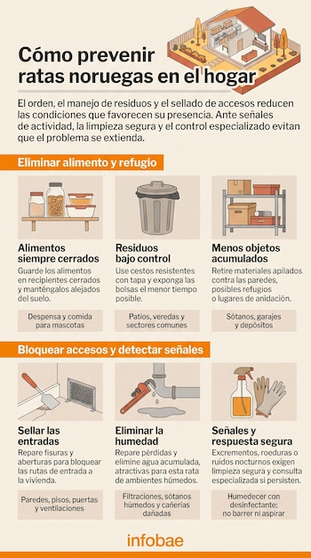 Infografía con una casa, recipientes de comida, un cesto de basura, cajas en un estante, una espátula, una tubería con goteo y guantes de limpieza.
