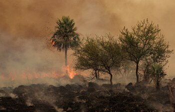 FILE PHOTO: A wildfire that has spread to cover more than 500,000 hectares is seen in Corrientes, Argentina February 15, 2022. REUTERS/Sebastian Toba/File Photo