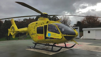 Muere un trabajador de 56 años en Galicia tras ser atacado por un enjambre de avispas mientras realizaba labores de desbroce