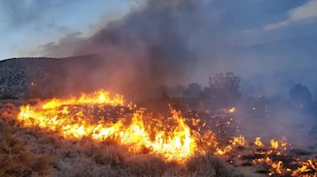 Incendio forestal con llamas intensas y humo denso sobre vegetación seca, con colinas oscuras al fondo y un cielo entre nubes y penumbra