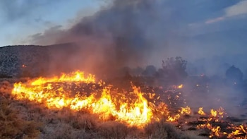 Clima extremo, vientos y sequías elevan el riesgo de nuevos incendios en el oeste de Estados Unidos