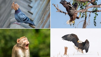 Algunos de los finalistas de