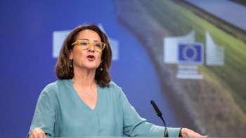 Bruselas calibra con Google los