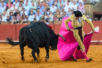 Los espectáculos de corridas de toros sobreviven en el mundo y en el Perú. - Crédito EFE/Raúl Caro