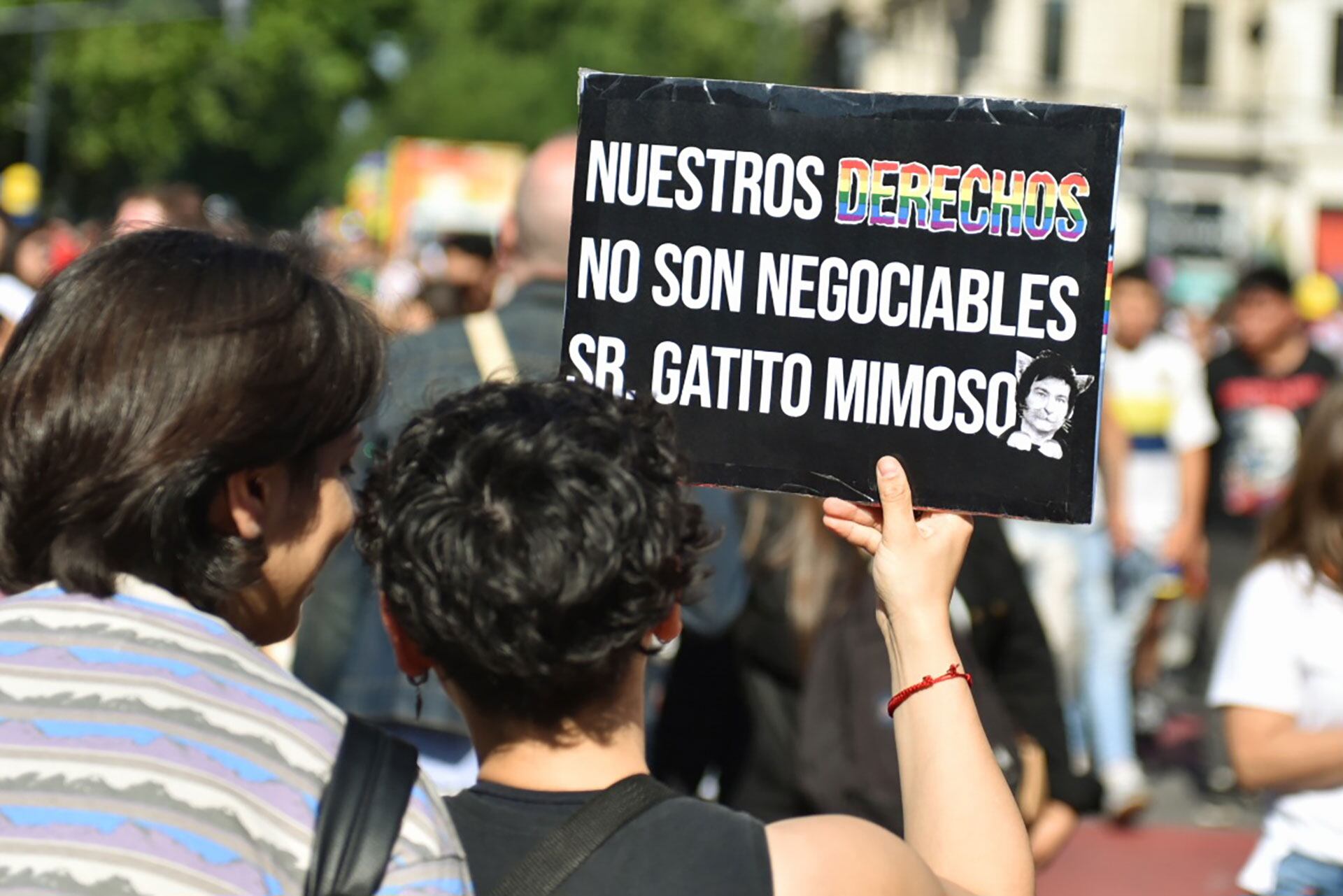 Mensajes contra Milei en noviembre de 2023 (Ariel Torres)