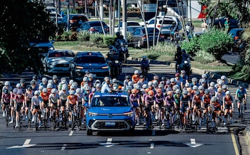 Las autoridades han coordinado para