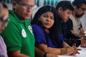 Sonia Guajajara, ministra de los