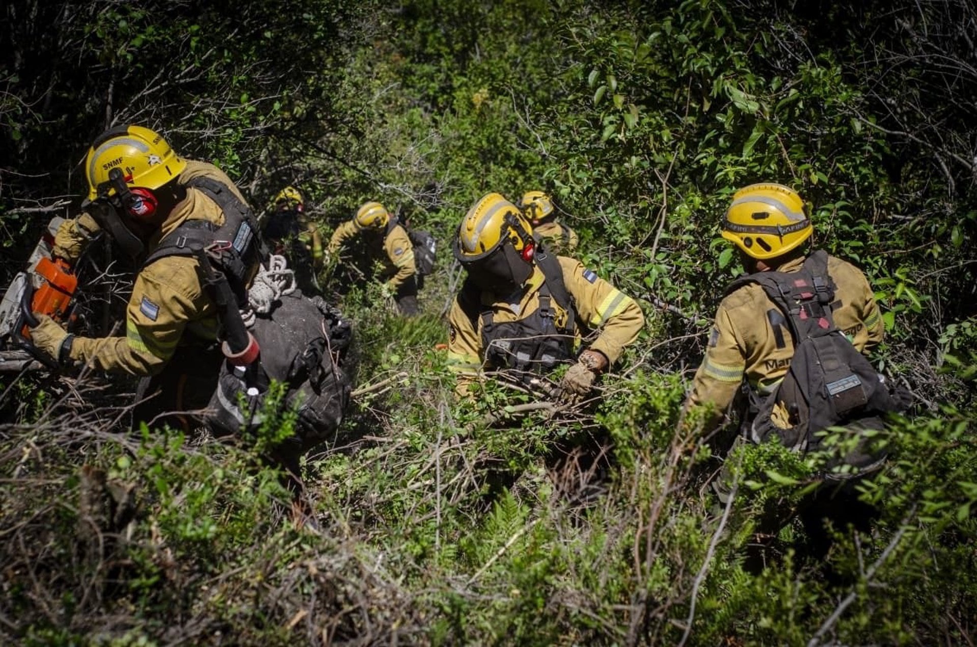 Brigadistas combaten incendios forestales en la Patagonia argentina