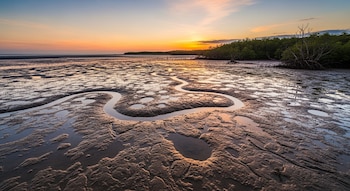 La distribución de los saltarines