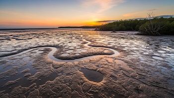 ¿De solución a mayor problema?