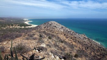 ONG advierten de daños al